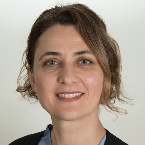 Headshot of Bahar Erbas